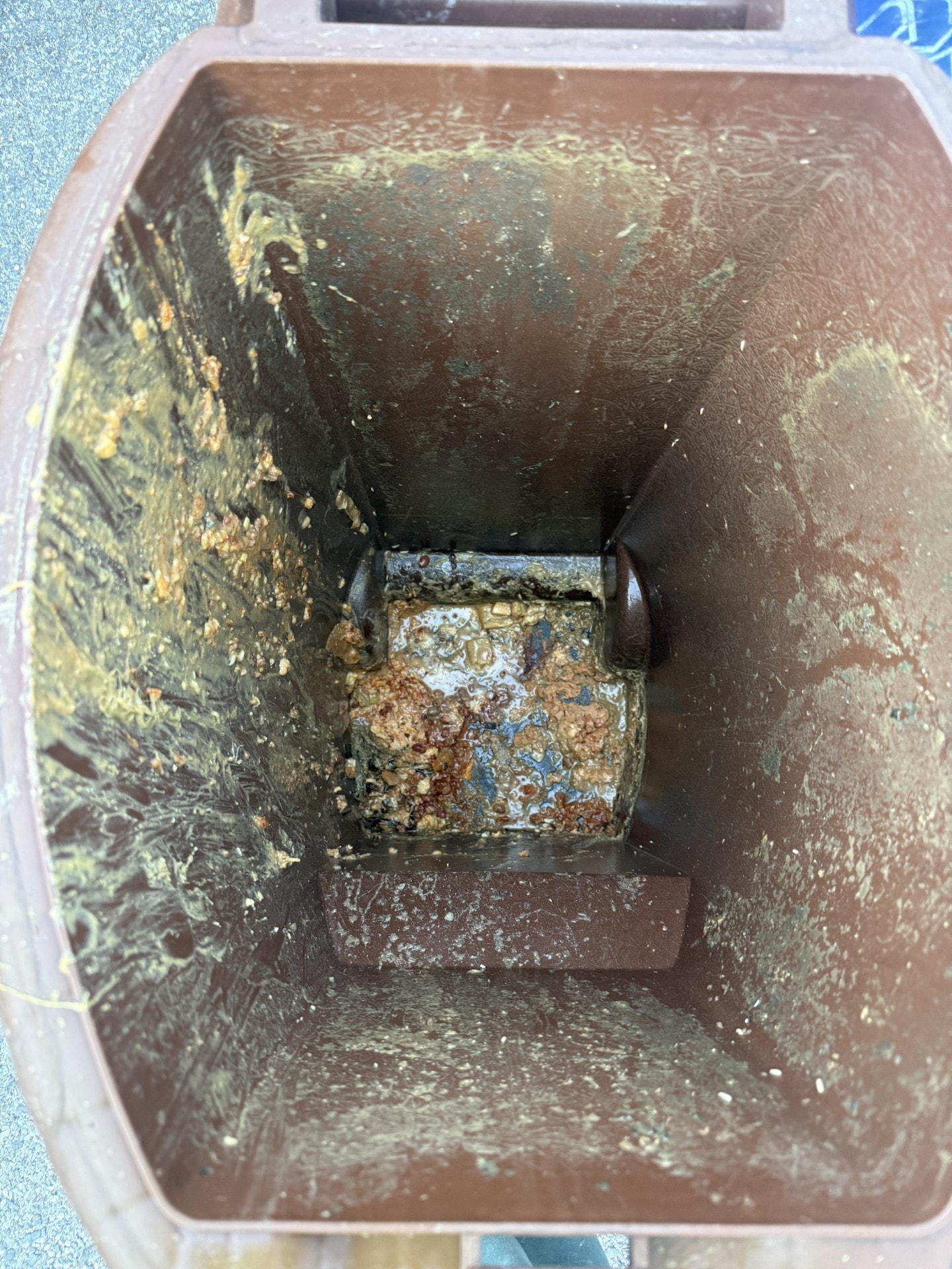 Compost can before cleaning — buildup and grime inside