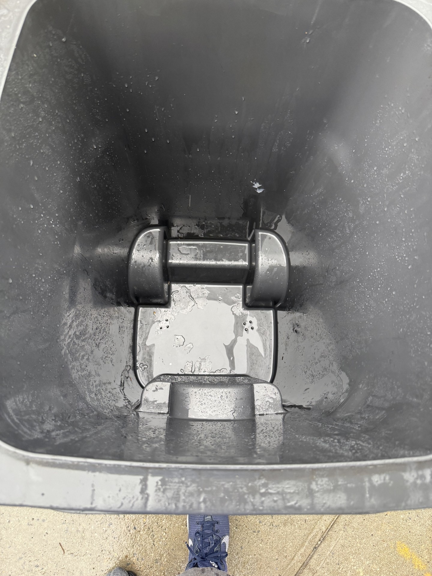 Garbage can after cleaning — spotless interior